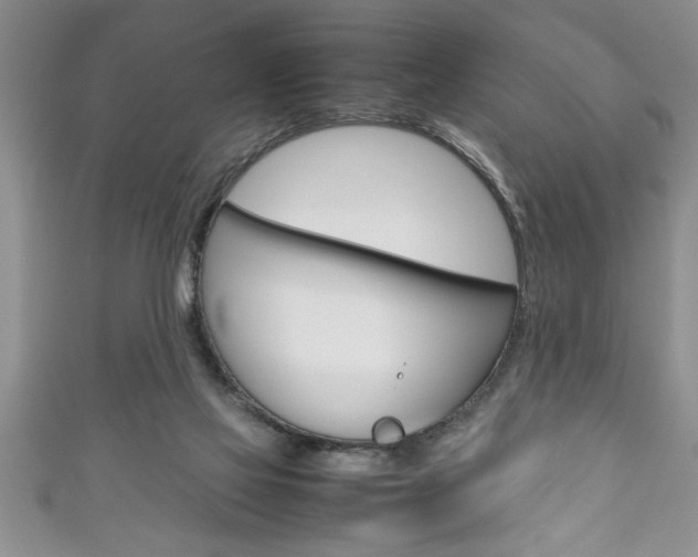 X0000111190069200907011017