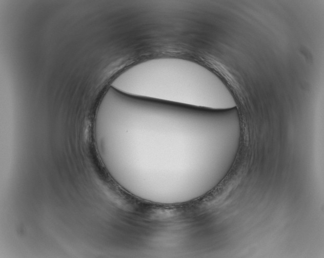 X0000111190071200907011017