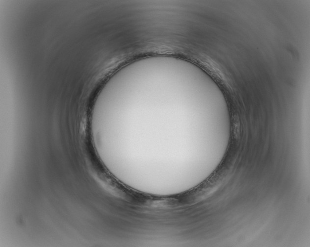 X0000111190072200907011017