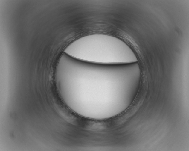 X0000111190073200907011017