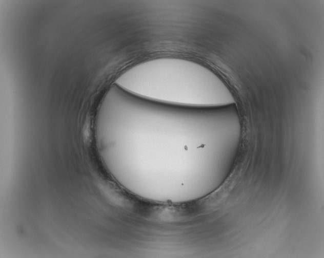 X0000111190074200907011017