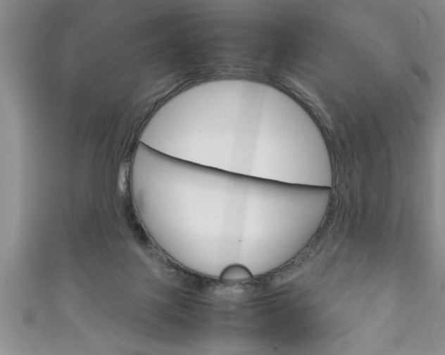 X0000111190075200907011018