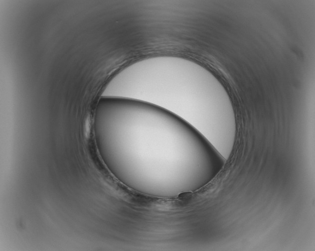 X0000111190076200907011018