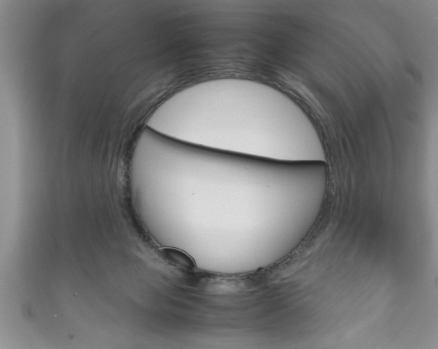 X0000111190077200907011018