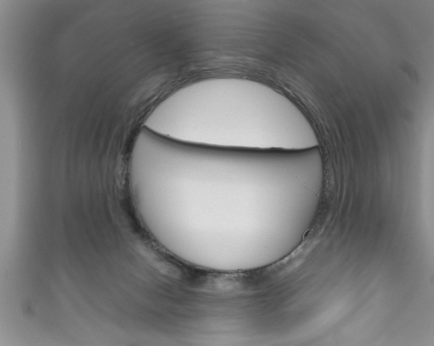 X0000111190078200907011018