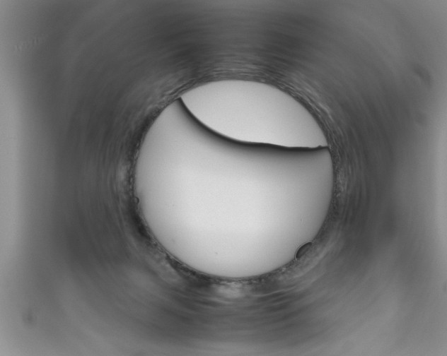 X0000111190079200907011018