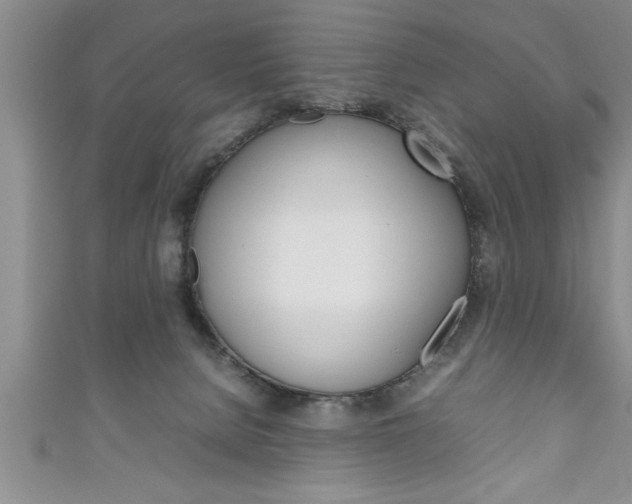 X0000111190080200907011018