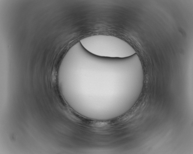 X0000111190081200907011018