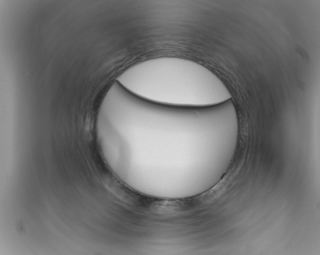 X0000111190082200907011018