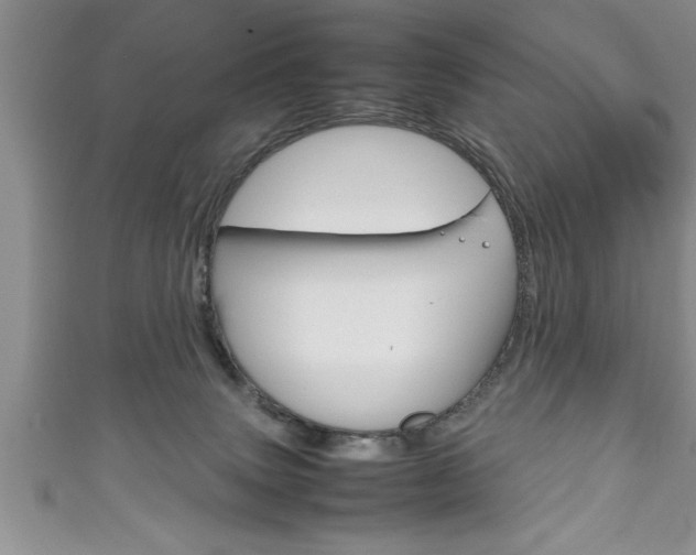 X0000111190083200907011018