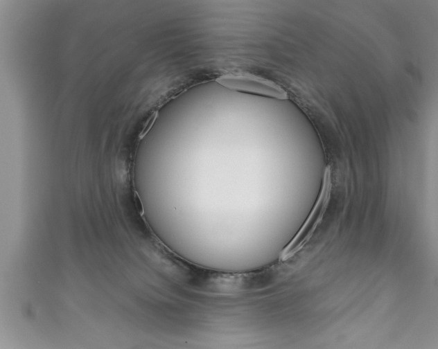 X0000111190084200907011018