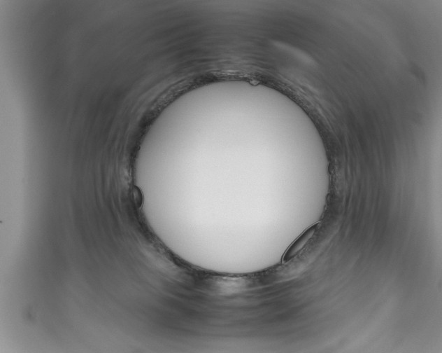 X0000111190085200907011018