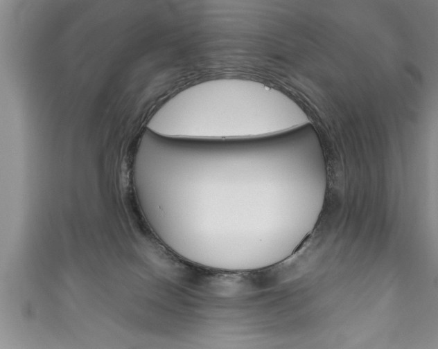 X0000111190086200907011018