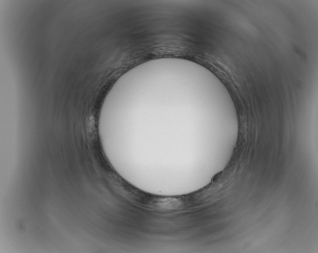 X0000111190087200907011018