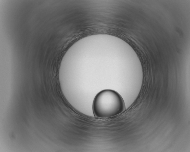 X0000111190088200907011018