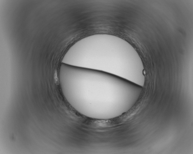 X0000111190089200907011018