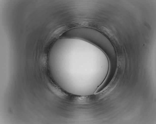 X0000111190092200907011018