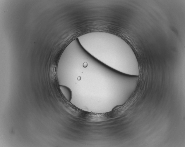 X0000111190093200907011018