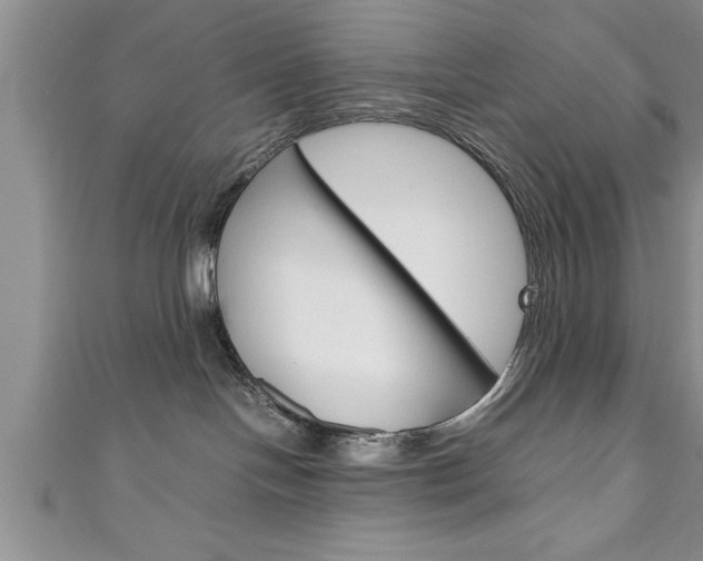 X0000111190094200907011018