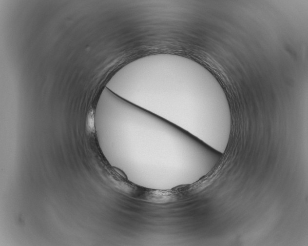 X0000111190095200907011018