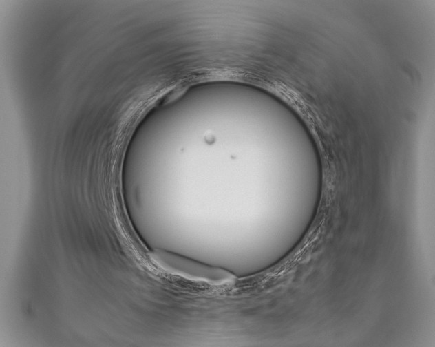 X0000111190097200907011017