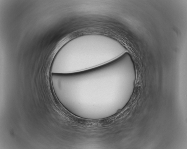 X0000111190099200907011017