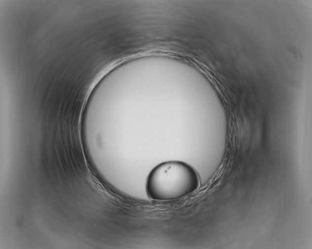 X0000111190100200907011017