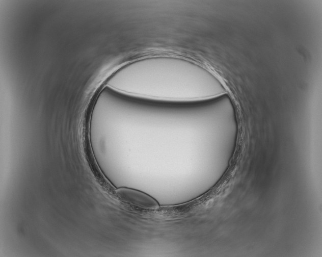 X0000111190103200907011017