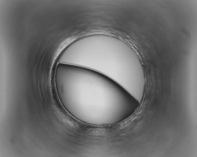 X0000111190104200907011017