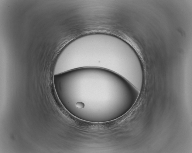 X0000111190105200907011017