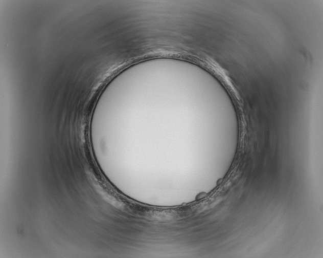 X0000111190106200907011017