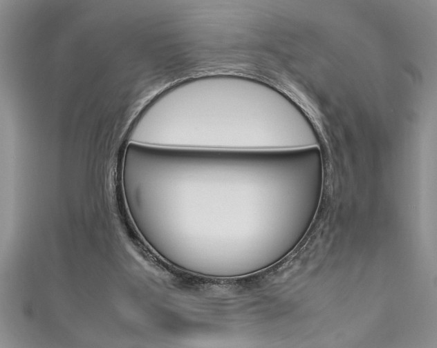 X0000111190107200907011017