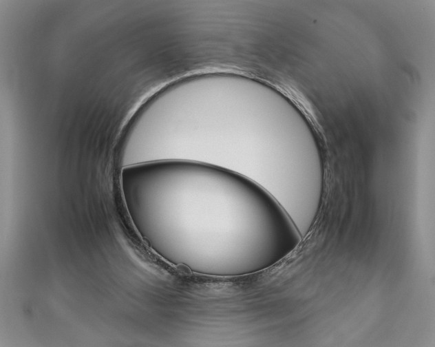 X0000111190108200907011017