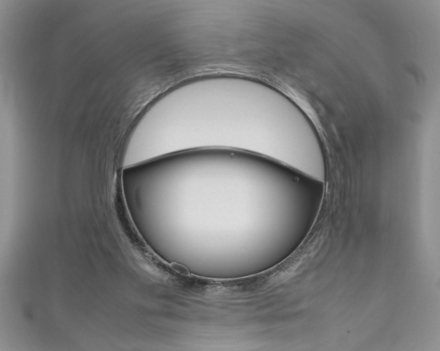 X0000111190109200907011017