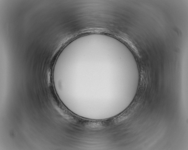 X0000111190110200907011017