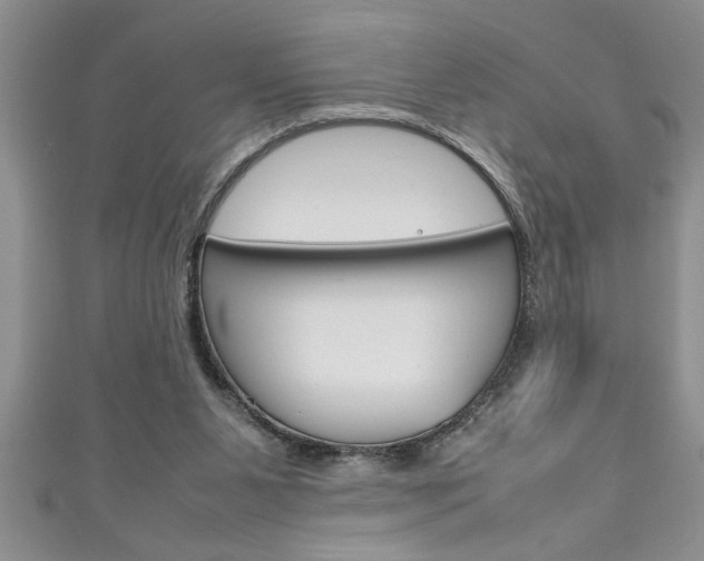 X0000111190111200907011017