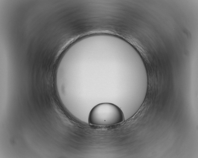 X0000111190112200907011017