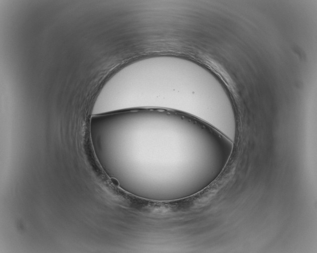 X0000111190113200907011017