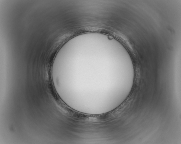 X0000111190114200907011017