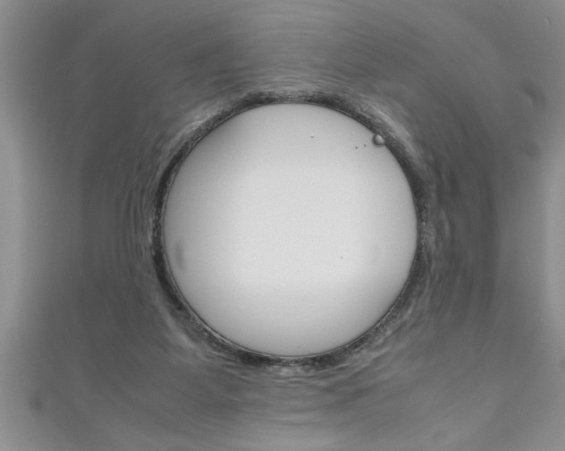 X0000111190115200907011017