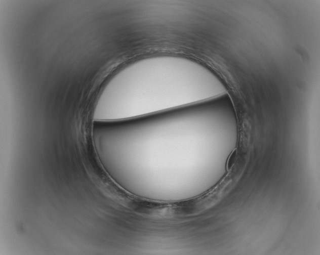 X0000111190116200907011017