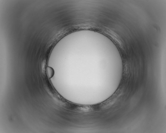 X0000111190118200907011017