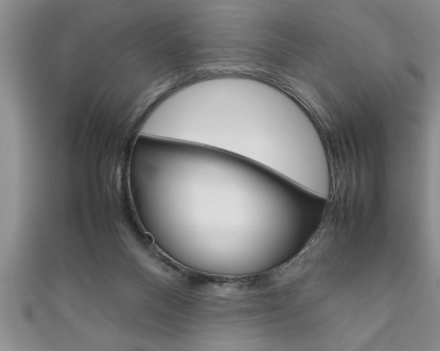 X0000111190120200907011017