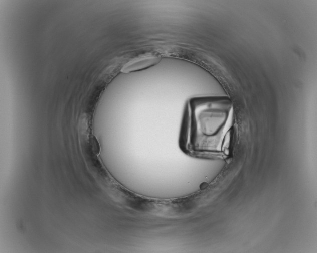 X0000111190121200907011017