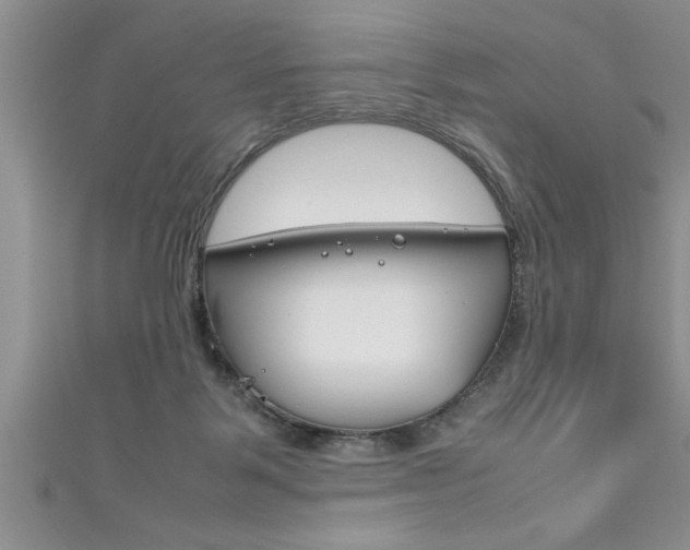 X0000111190123200907011017