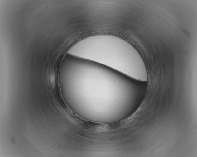 X0000111190124200907011017