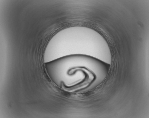 X0000111190125200907011017