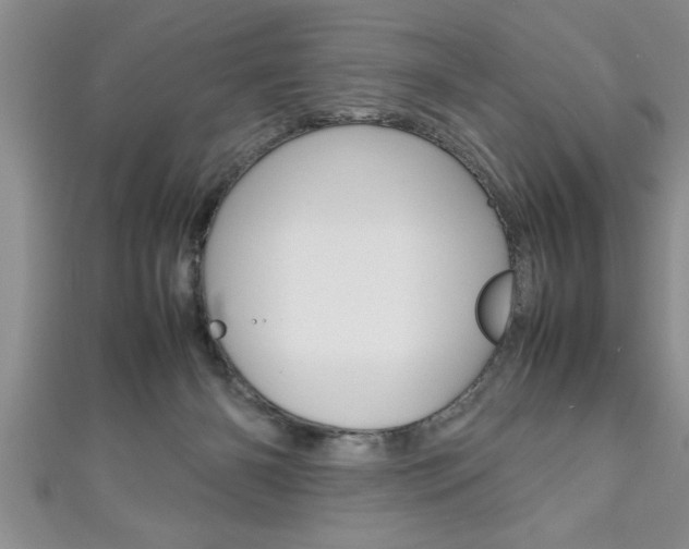 X0000111190126200907011017