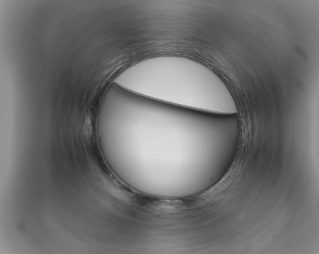 X0000111190128200907011017