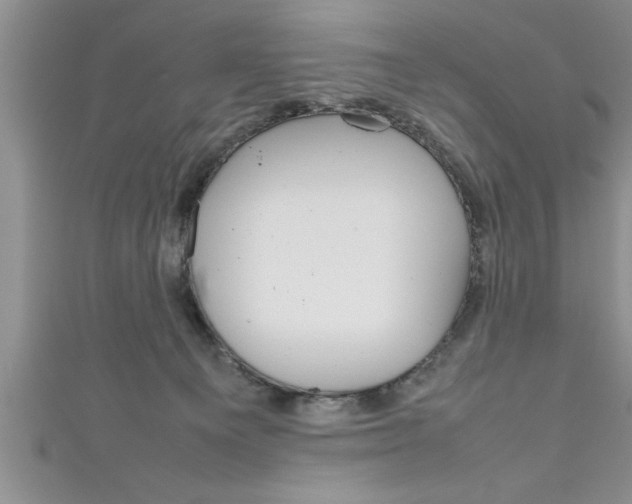 X0000111190129200907011017